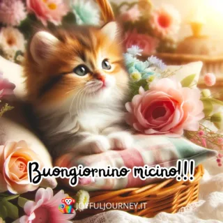 Immagini buongiorno gatti. Immagini del buongiorno con gattini piccoli e fiori, con auguri di buona giornata - JoyfulJourney.it01