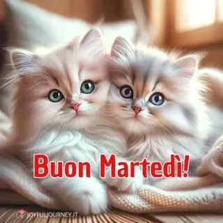 Immagine del buongiorno buon martedì: due gattini e la scritta "Buon martedì", per augurare buona giornata su WhatsApp