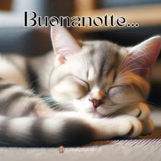Immagini della buonanotte con animali che dormono - Un gatto che dorme e la scritta: "Buonanotte", per augurare una buona notte su WhatsApp.