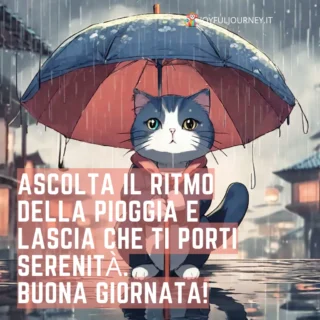 Buongiorno con la pioggia, con una frase per augurare buona giornata piovosa, gatto sotto l'ombrello