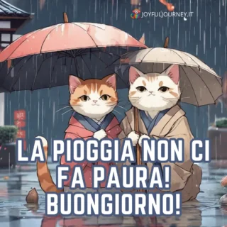 Buongiorno con la pioggia, con una frase per augurare buona giornata piovosa, gatto sotto l'ombrello