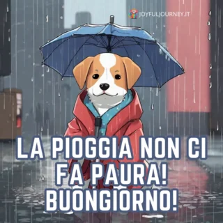 Buongiorno con la pioggia, con una frase per augurare buona giornata piovosa, cane sotto l'ombrello