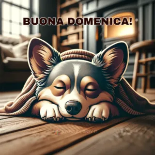 L'illustrazione di un cane che dorme beato e la scritta: "Buona domenica!". Ideale per augurare buona giornata domenicale ai propri cari su WhatsApp. By JoyfulJourney.it