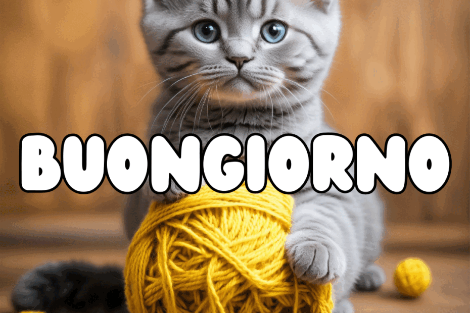 GIF animata del buon martedì con i gattini del buongiorno, GIF gratis per WhatsApp