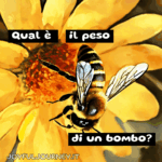 Peso Qual è il peso di un bombo? di un’ape? di una farfalla? Ogni fiore lo sa. (GIF con poesia di Giancarlo Consonni dal titolo PESO)